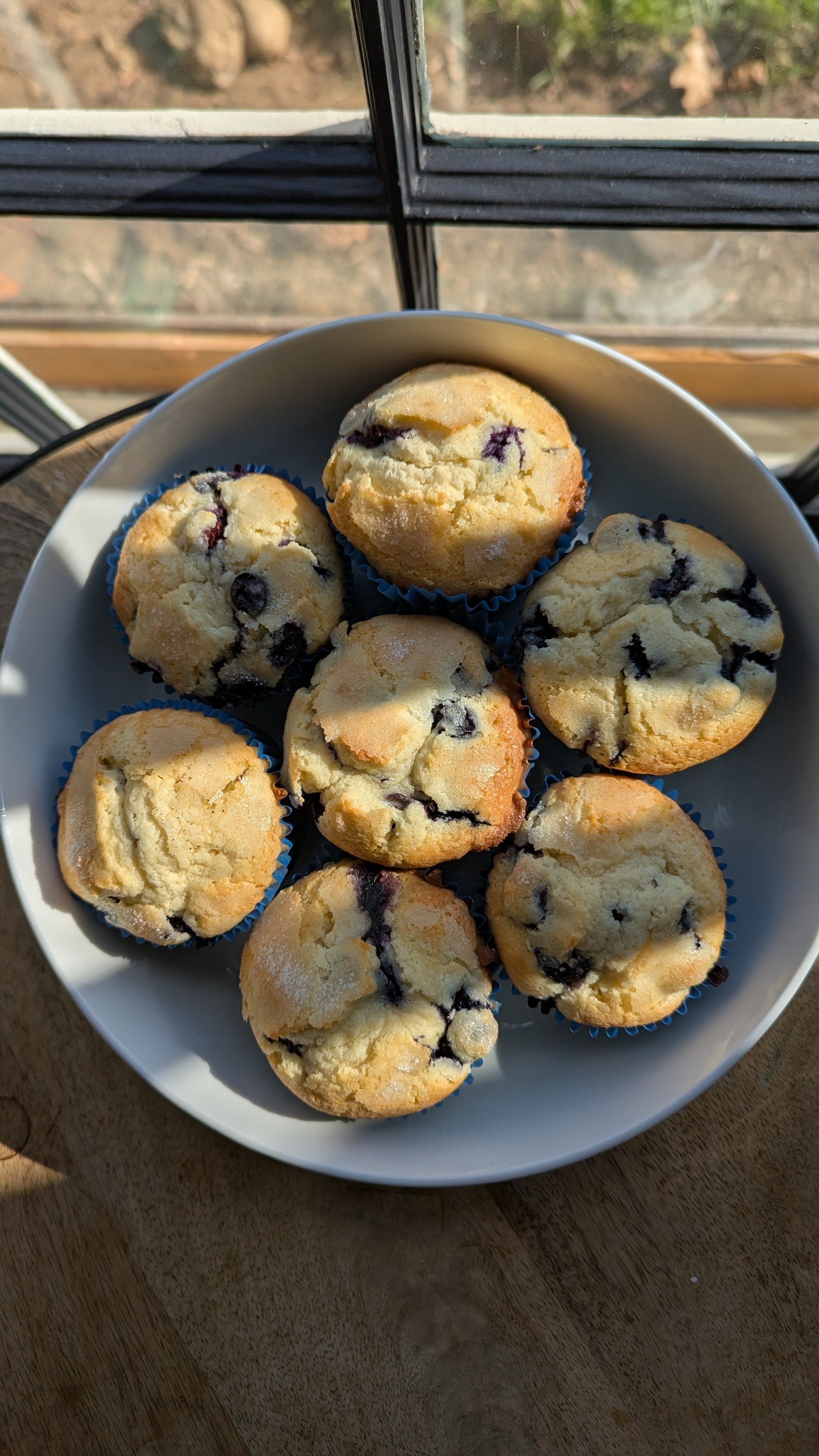 Blueberry muffins