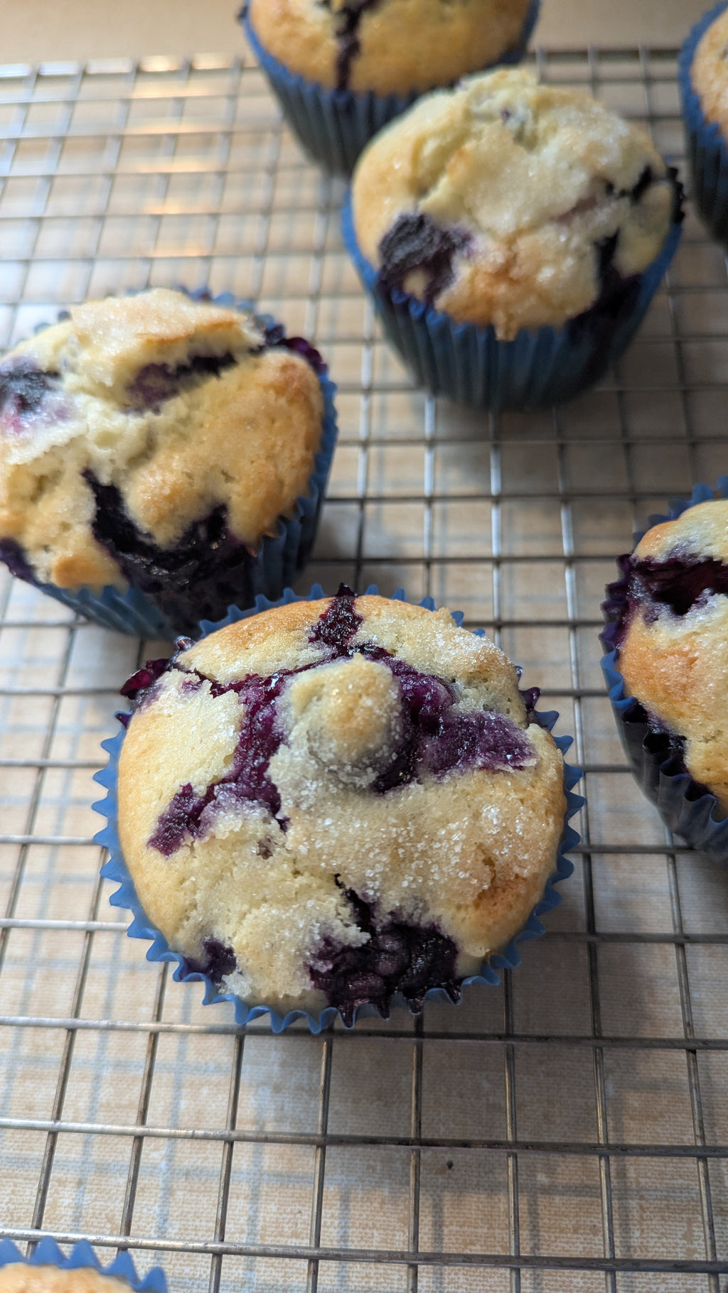 Blueberry muffins