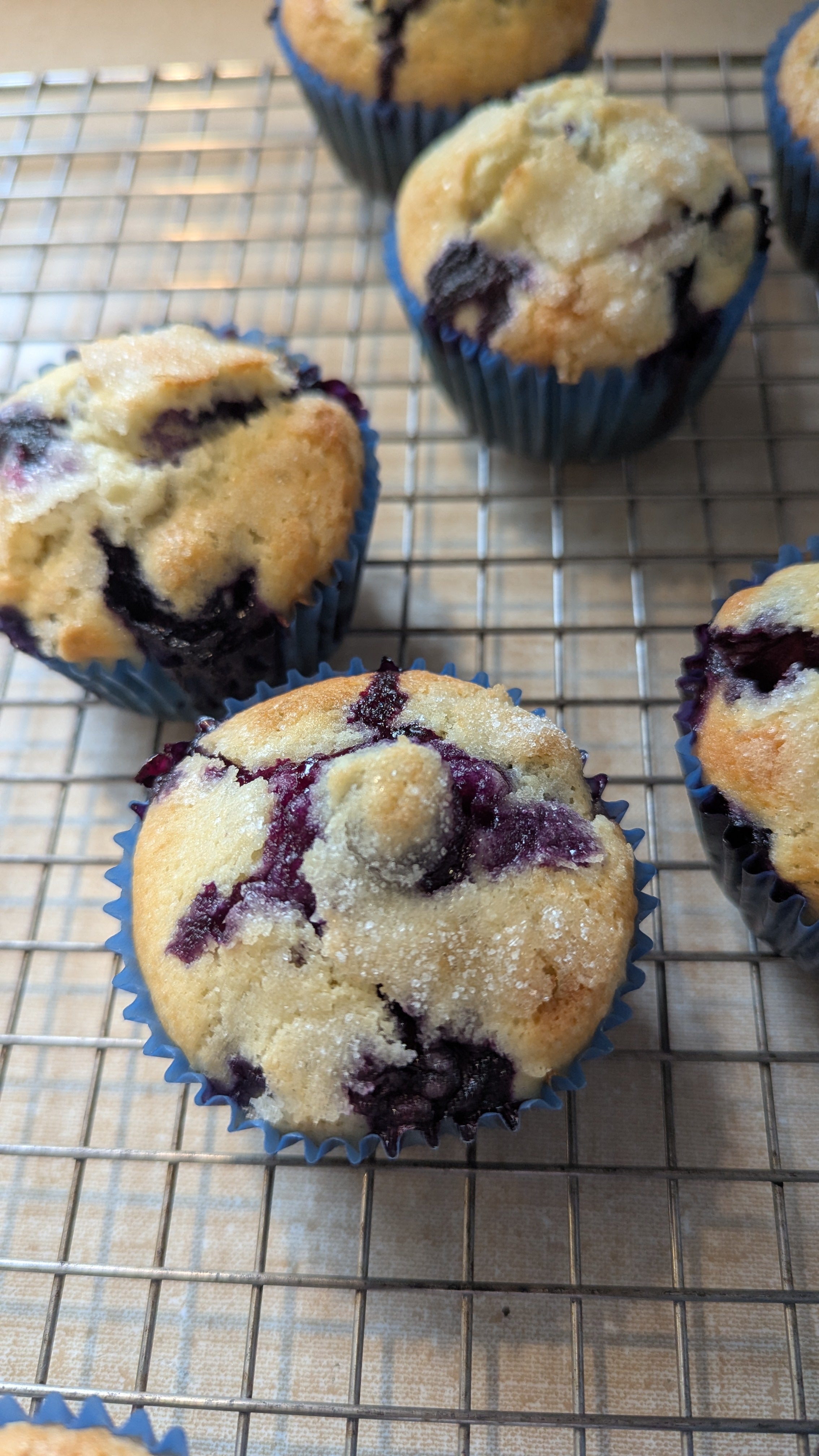 Blueberry muffins